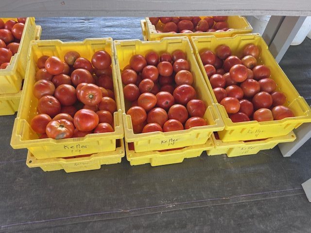 Oak Hill Produce (11) - Copy