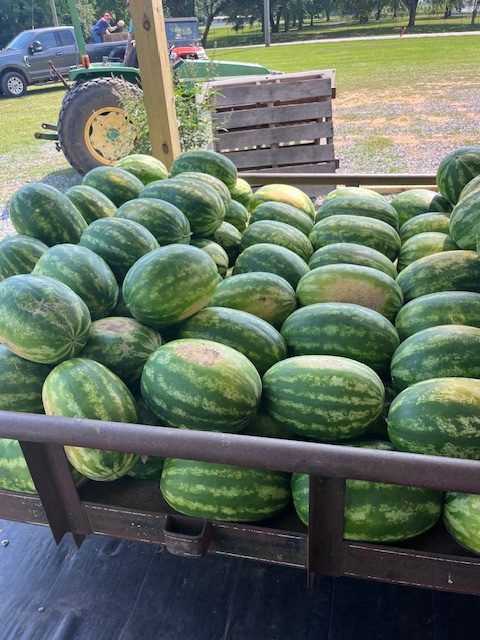 Oak Hill Produce (6) - Copy